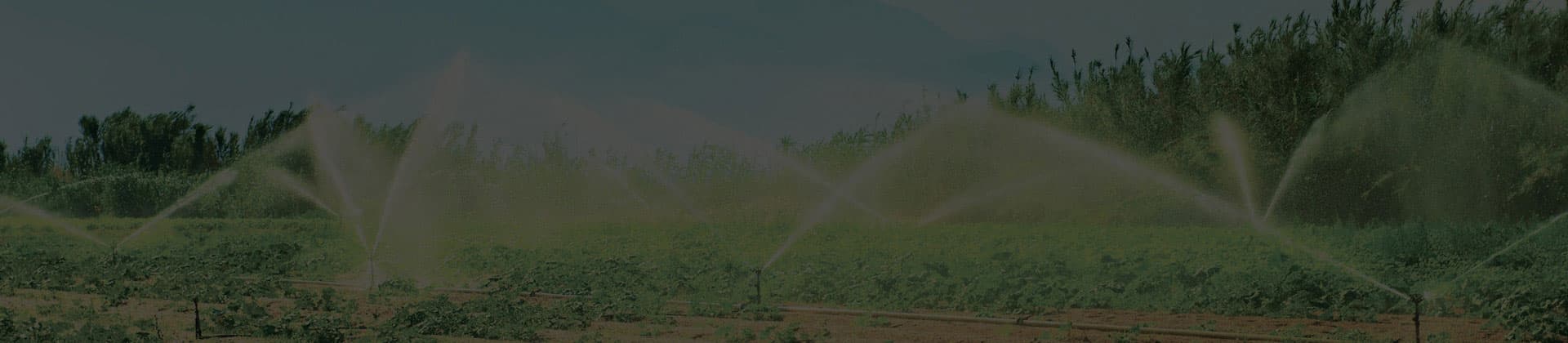 PROM-Header-1920x420-NonPotable